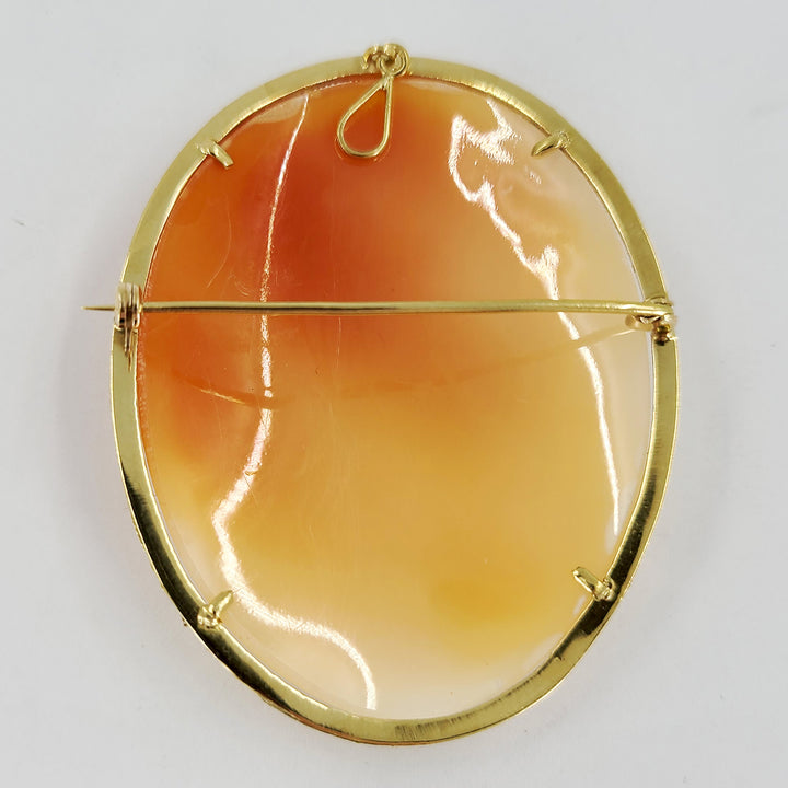 Shell Cameo Pin and Pendant